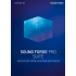 SOUND FORGE Pro 13 Suite | Digitaal (ESD/EU)